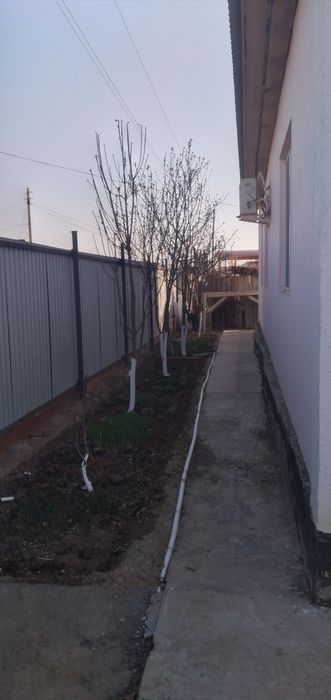 курилкино рыбник дом