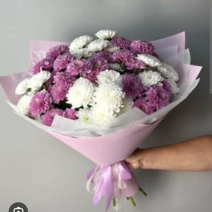 Хрезантема букет ва ховли гули  кўп йиллик