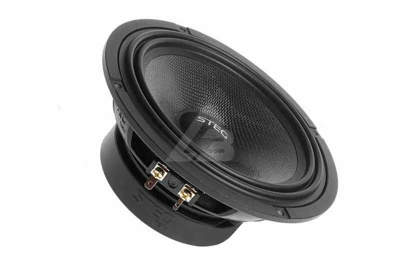 2-полосая акустическая система STEG SE650C