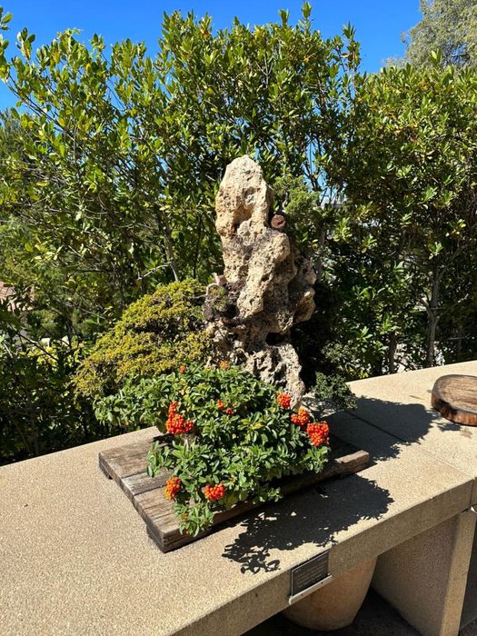 Биогумус натуральное удобрение