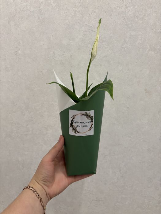 Тойбастар. Женское счастье