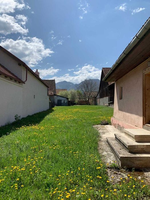 ULTRACENTRAL Zărnești – 1305 mp lângă Primărie | INVESTIȚIE |