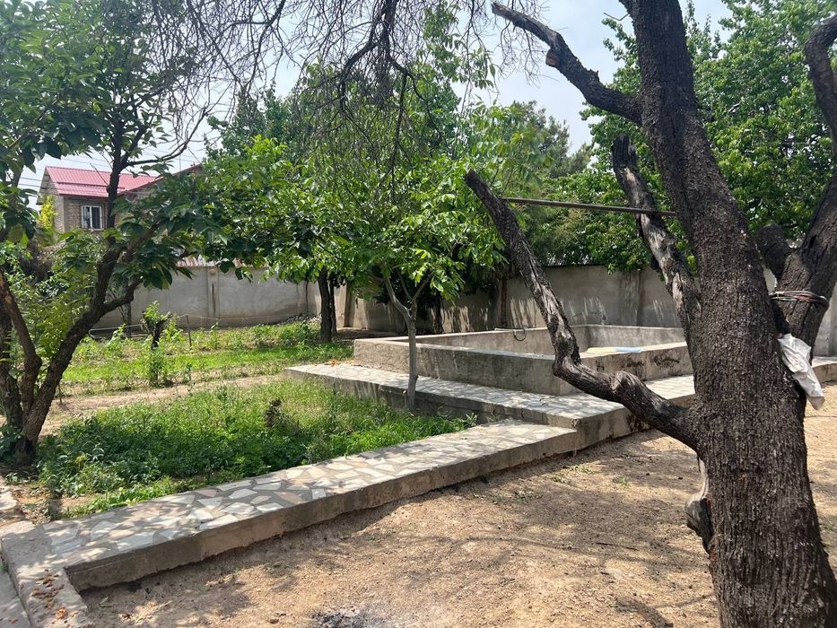 Uy Tuzel dacha Yangi O'zbekistonga yetmasdan
