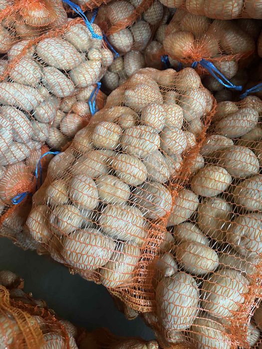 Cartofi albi marabel