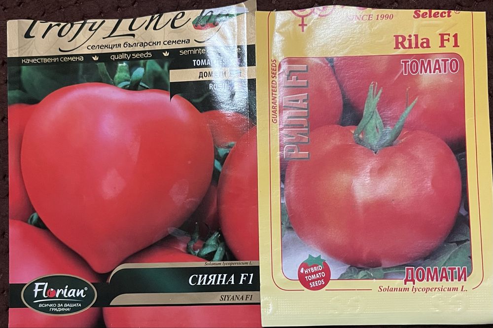 Rosii Rila,Castraveti-Spino