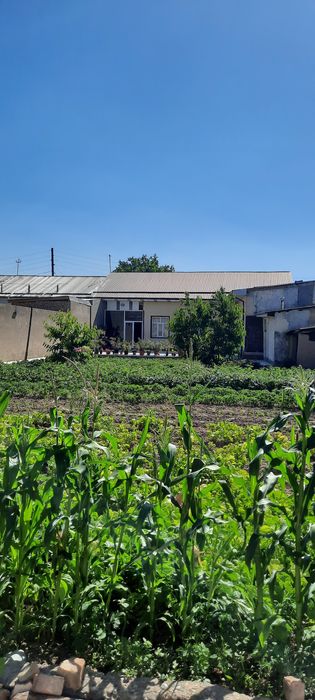 Кибрай бугор 6.87сот.5хона