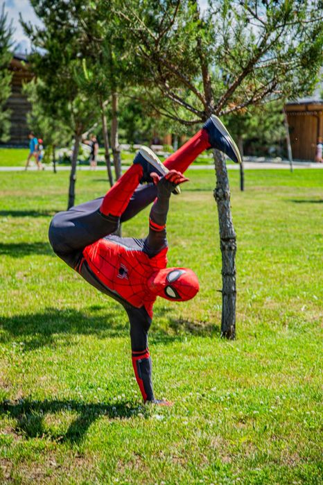 Аниматоры и шоу программы