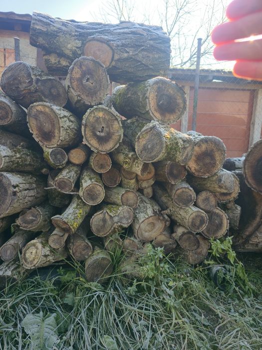 Vand lemn de NUC pret  NEGOCIABIL