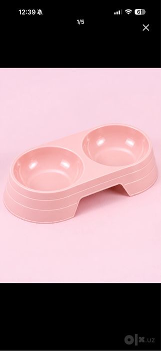 Quyon карлик баран