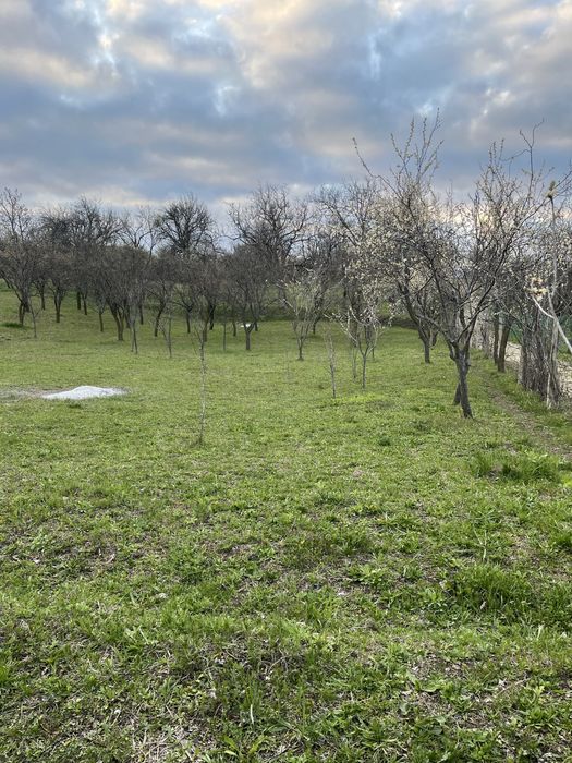 Teren ideal penteu cabana