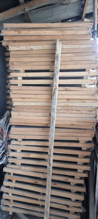 Makaron ishlab chiqarish uskunasi