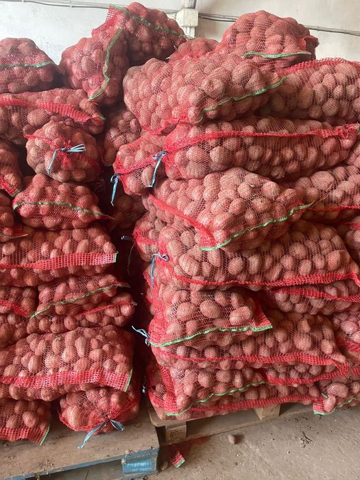 Vând cartofi de sămânță și de consum!