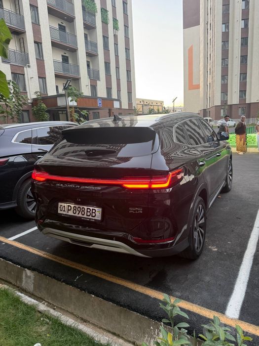 Byd Chempion gibrid 150tali