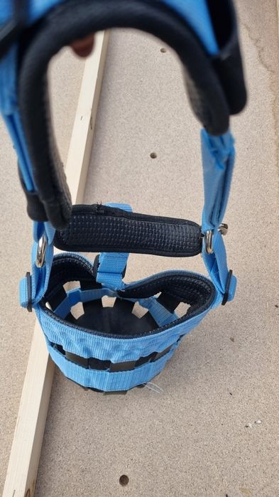 Botniță căluț/mânz, câine, animale