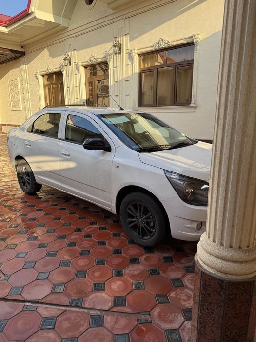 Cobalt 2025/2026 Midnight