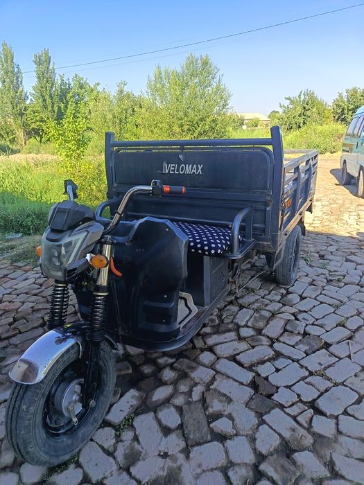 Moto muravey narmalniy