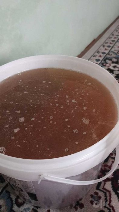 Tabiiy asal optom, Andijon, 20 kg chelakda