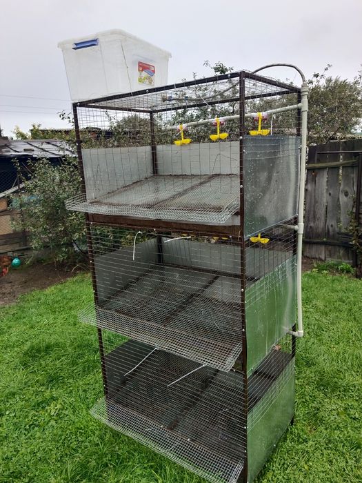 Клетки для курей несушкк