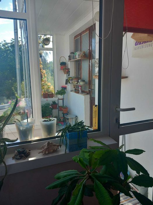 Продава къща в град Разград
