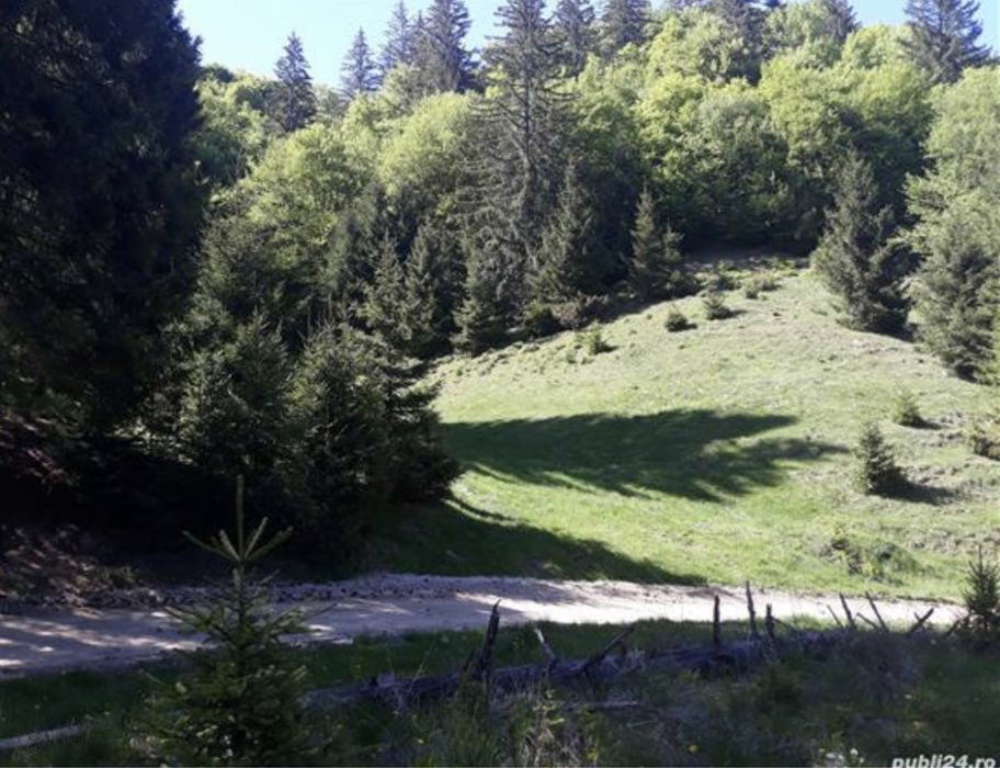 Teren intravilan Poiana Brasov