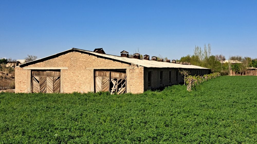 Muzrabot Tumanida 5 Gektarli Tovuq ferma  Sotiladi Tel qilasizlar