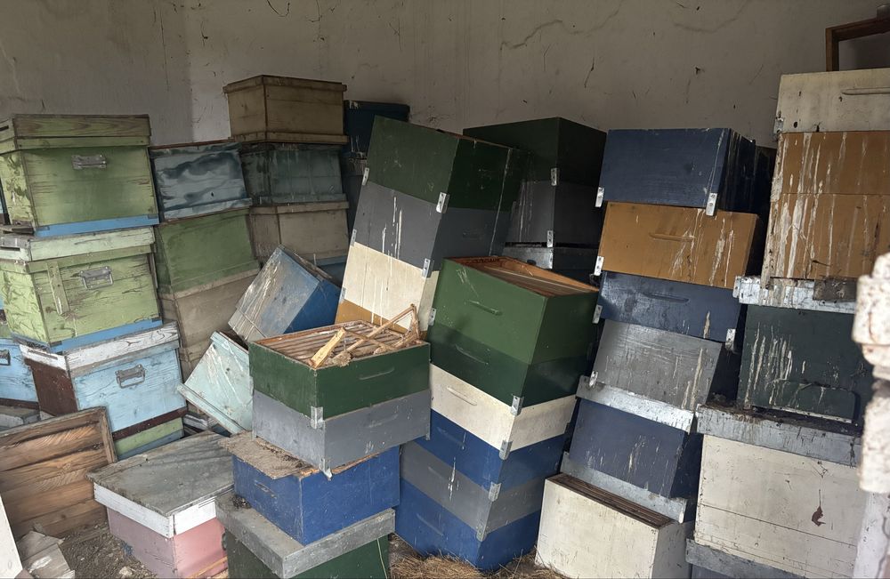 Lăzi albine (fara albine )