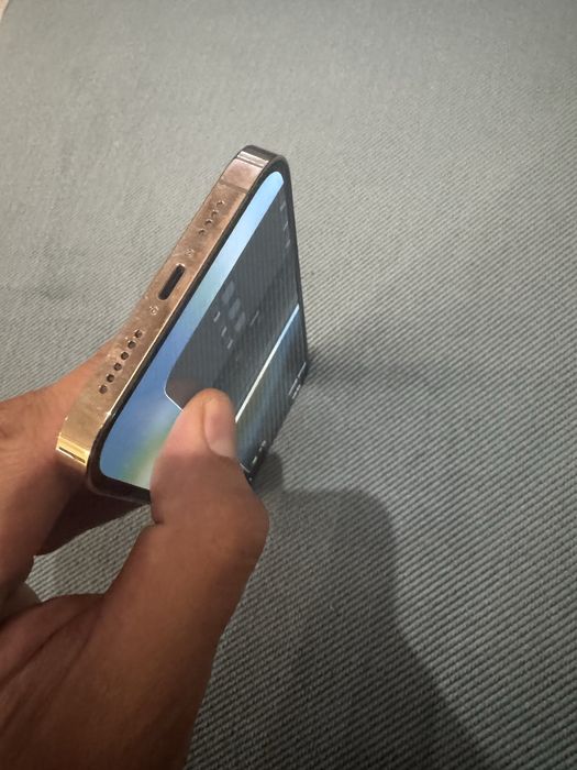 Iphone 12 Pro Max 256