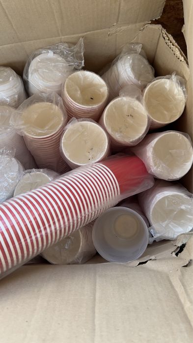 Продам одноразовую посуду