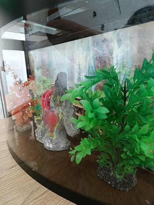 Akvarium sotiladi