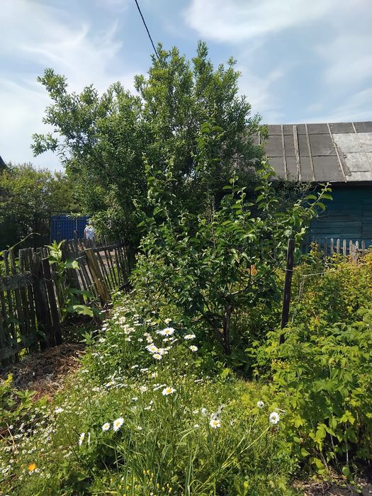 Продам дачу в с/о Борки