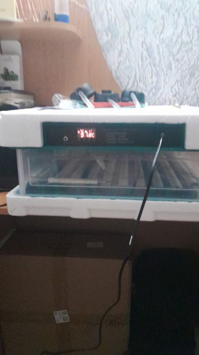 Инкубатор на 62 яйца