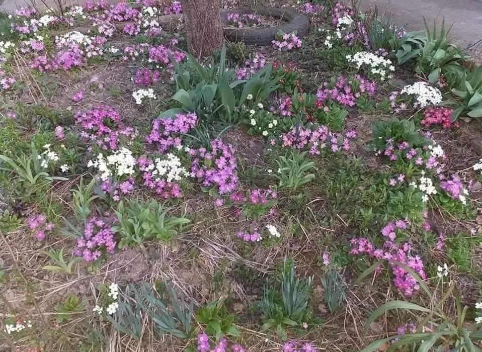 Продавам масивна триетажна къща в гр.Трявна