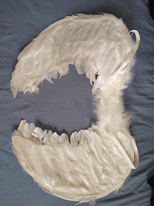 Продам крылья, перо