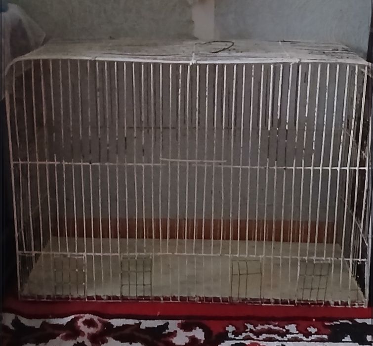 Клетка для любых птиц