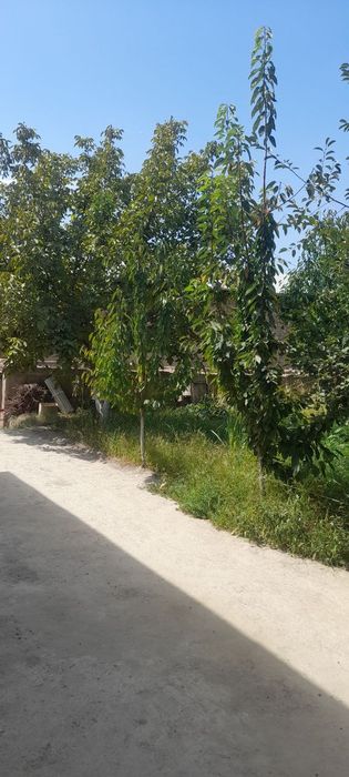 Очень срочно Продается коттедж в янги хаёт