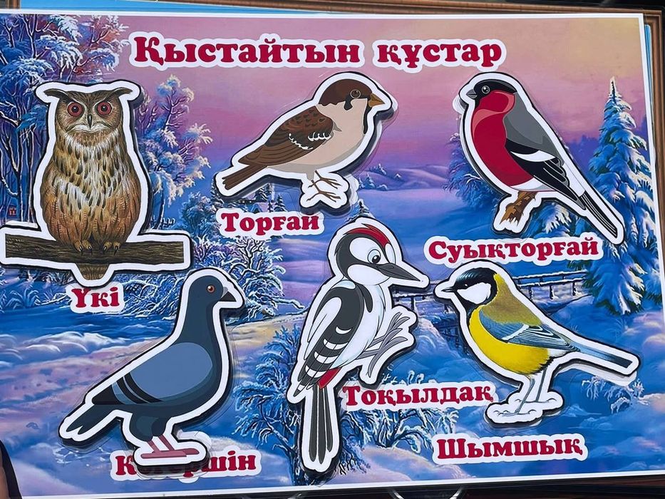 Игры на липучках ( рисуем, есть готовые работы)