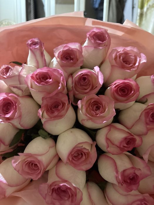 Гүл керектер хабарласыңдар