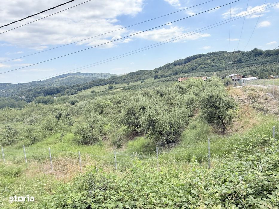 Teren intravilan 2771mp, cu livadă de meri, Breaza - Livada lui David