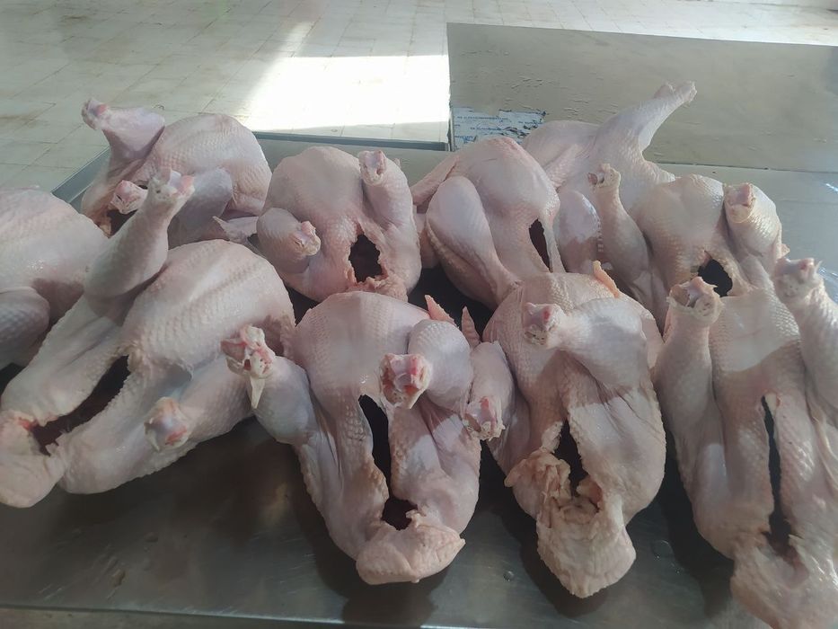 Kurka goʻshti Halol sifatli