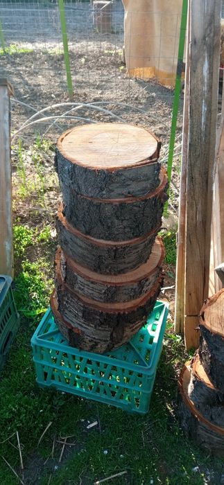 Орех и шайби от ореха