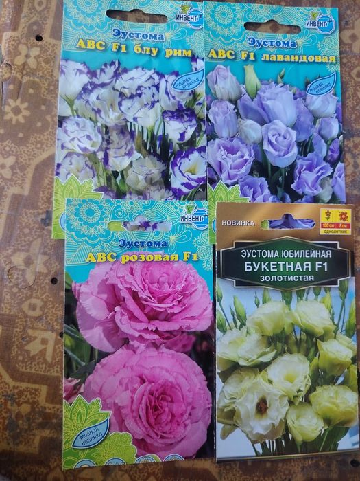 Продам эустому рассада