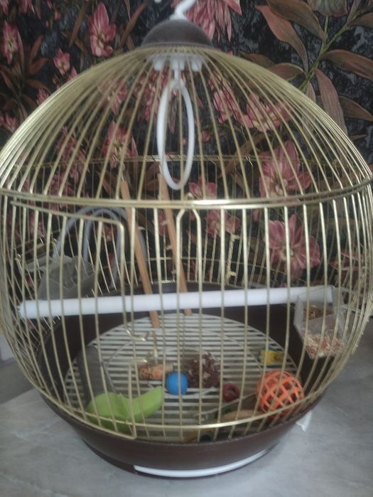 Клетка для попугаев