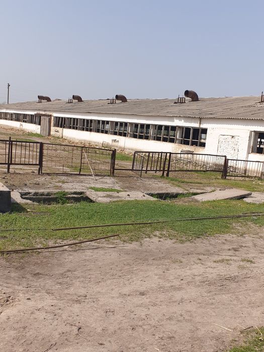 Продаётся ферма для скота 6 гектаров кадастр имеется Ташкент область у