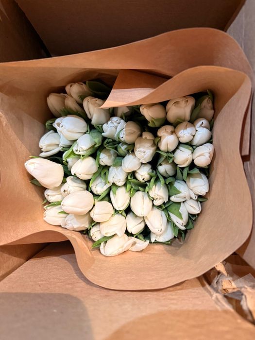 Тюльпан оптом Семей