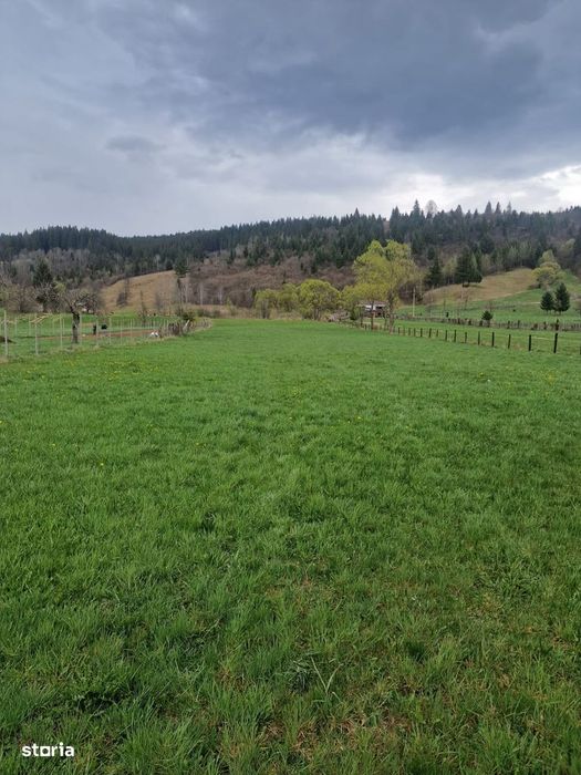 Vindem teren in Vatra Moldovitei - Bucovina