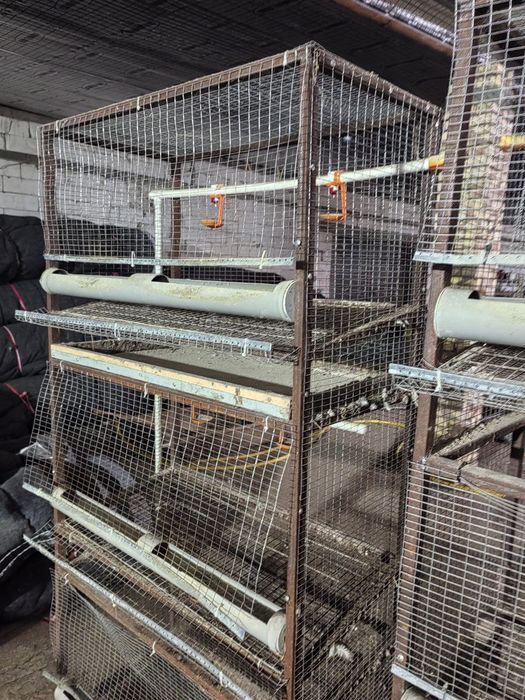 Клетки для кур / тауык клеткаси / парранда клеткаси