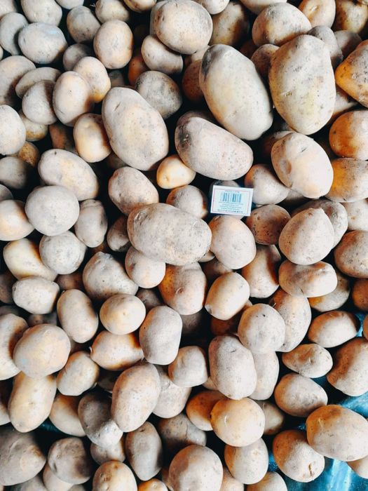 Картошка домашняя