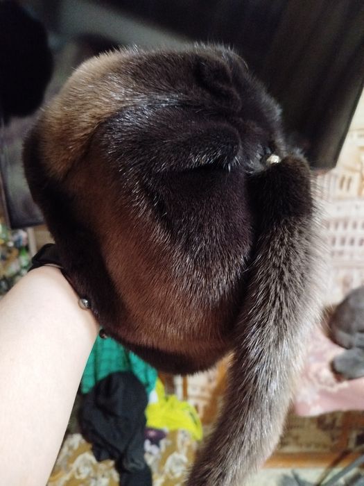 Продам шапку женскую