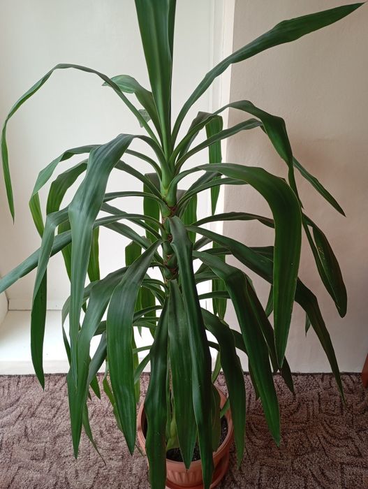 Юки стайни за дома или офиса