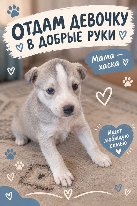 Отдам щенков хаски